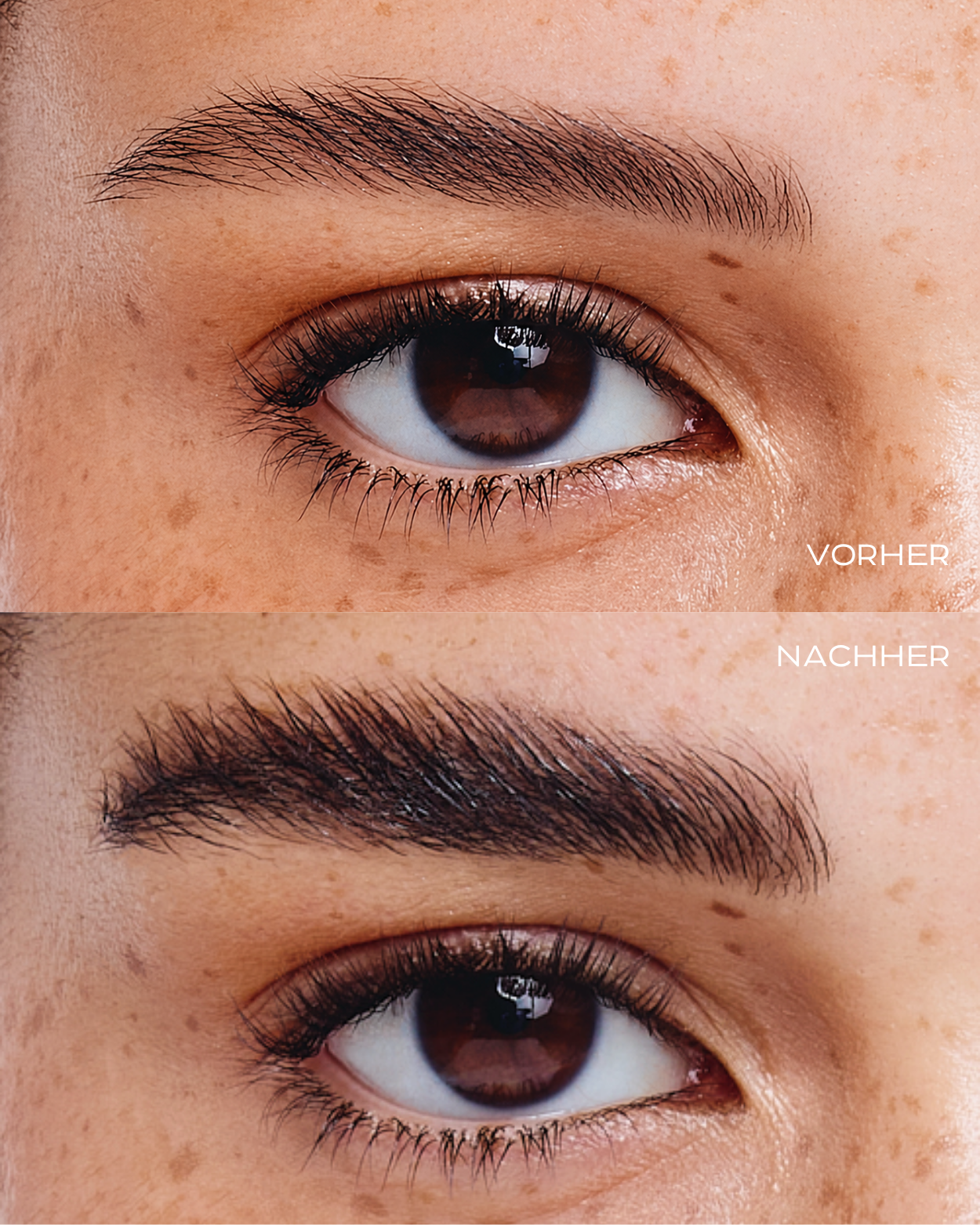 Copy_of_Copy_of_Copy_of_LASH_INNOVATION_400_x_500px_400_x_450px_400_x_500_px_1.png